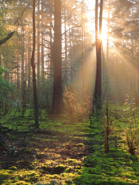 Gezielte Trainings und innovativen Erlebnisse fürs Teambuilding